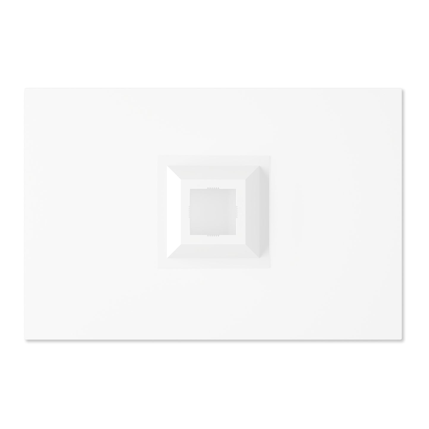 Mustang GT500 Shelby- Mounted Acrylic Wall Art