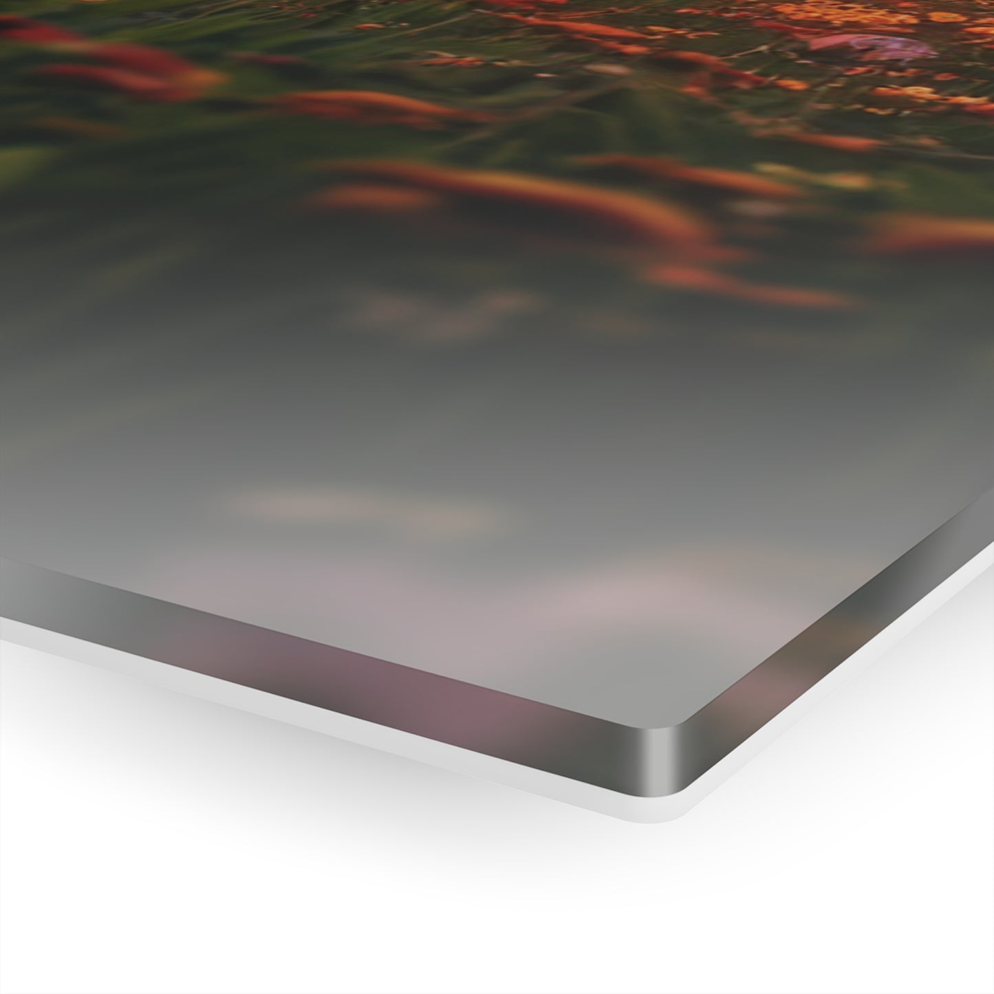 C6 Corvette Mounted Acrylic Wall Art